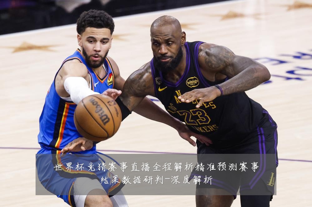 世界杯竞猜赛事直播全程解析精准预测赛事结果数据研判-深度解析